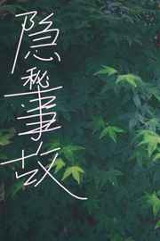 隐秘事故