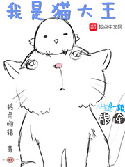 我是猫大王[校对版]