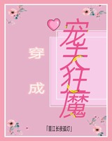 将军婚后成宠妻狂魔