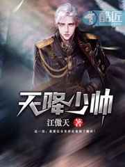 天降少帅