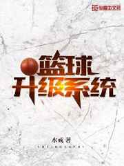 篮球升级系统