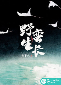 岑雾江怀笙无删减完整版