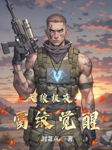 天狼极夜：雷纹觉醒