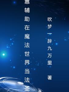 魔法觉醒，我第一系是辅助系