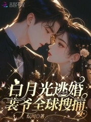 白月光逃婚，裴爷全球搜捕