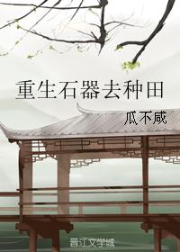 3.重生石器去种田 作者:瓜不咸