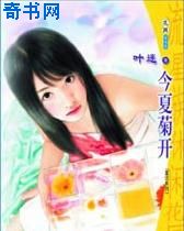今夏菊开