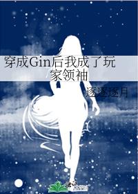 穿成gin后我成了玩家领袖24