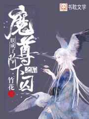 朕成了魔尊阶下囚之后