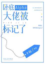 卧底Alpha大佬被标记了