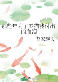 那些年为了养猫我付出的血泪是什么歌