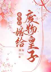我嫁的咸鱼皇子登基了