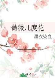 蔷薇几度花