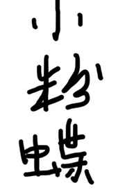 小粉蝶