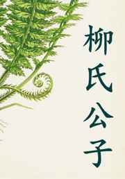 柳氏公子