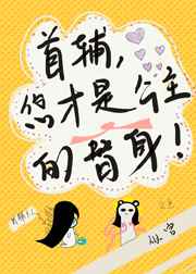 首辅，您才是公主的替身