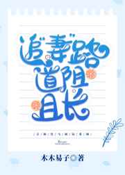追妻路道阻且长