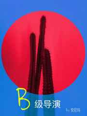 B级导演