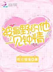 被最野的他一见钟情
