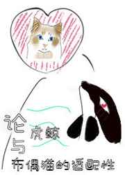 那个哨兵他又帅又A