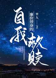 廉价替身的自我救赎