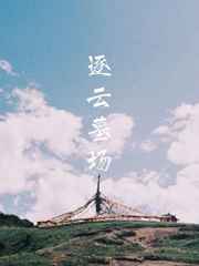 逐云墓场