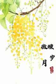 微醺岁月