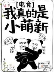 我真的是小萌新