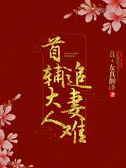 首辅大人，你老婆跑啦
