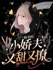 陆爷的小娇夫又甜又撩