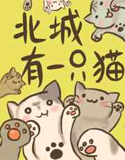 北城有一只猫