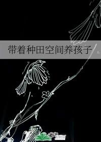带着种田空间养孩子