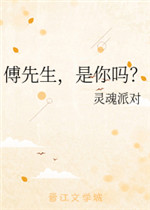 傅先生，是你吗