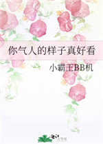 你气人的样子真好看