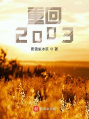 重回2003年夜鸣猪TXT下载